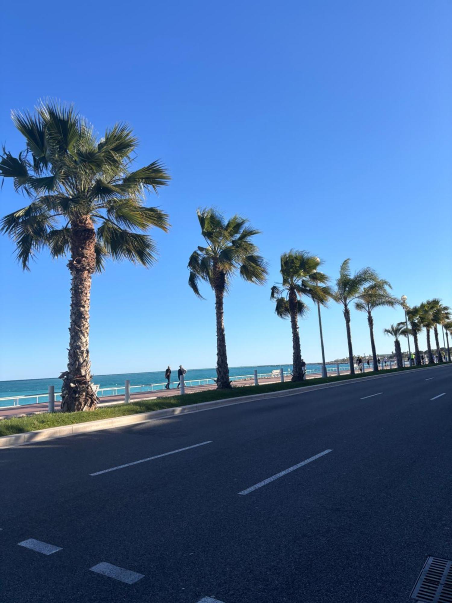 Grand Studio De 30 M2 Promenade Des Anglais Nice Extérieur photo